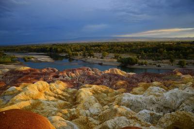 Xinjiang Multi-Color Shoal