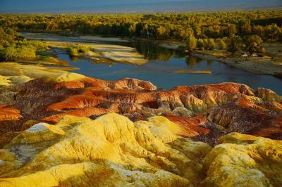 Multi-Color Shoal Xinjiang 