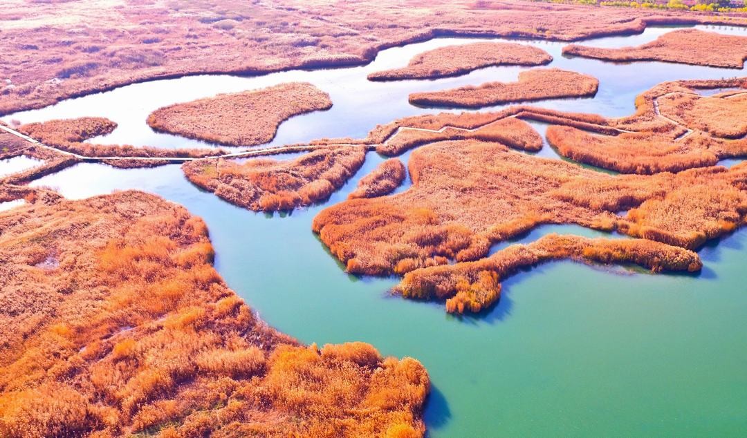 Zhangye National Wetland Park