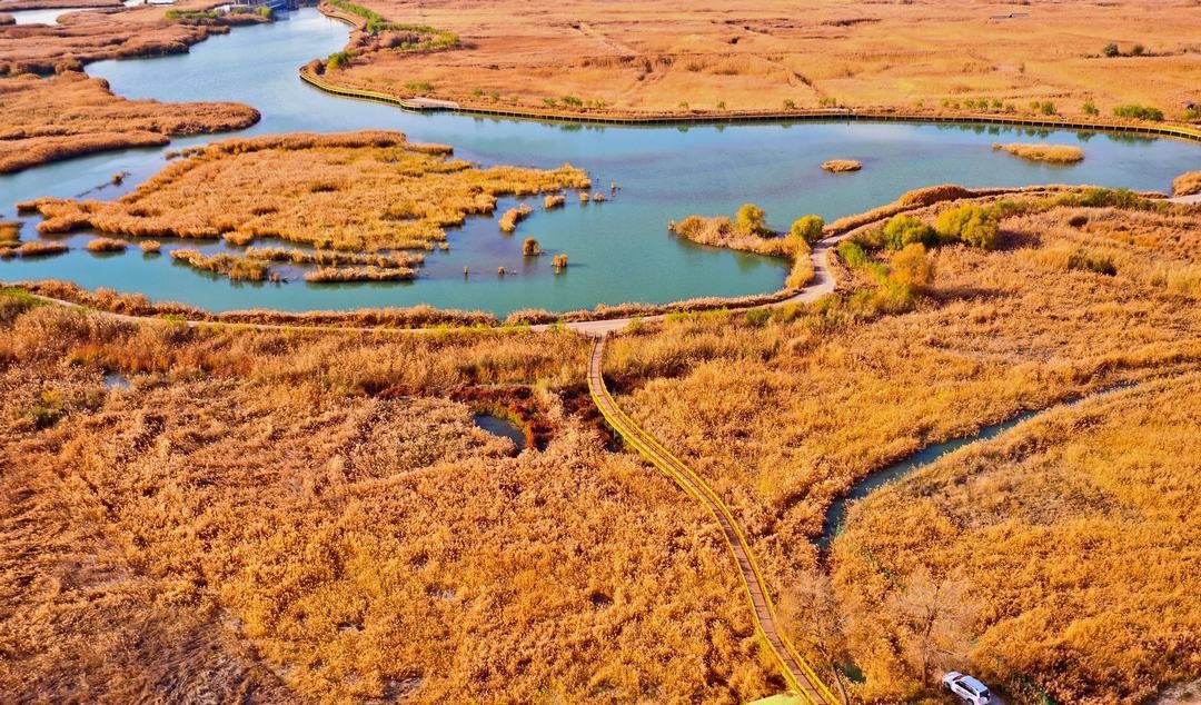 Zhangye Wetland Park