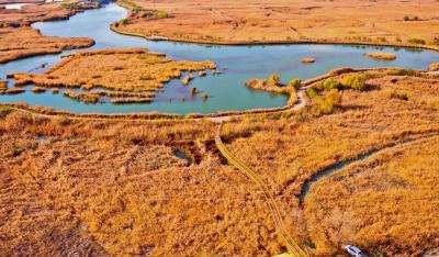 Zhangye National Wetland Park