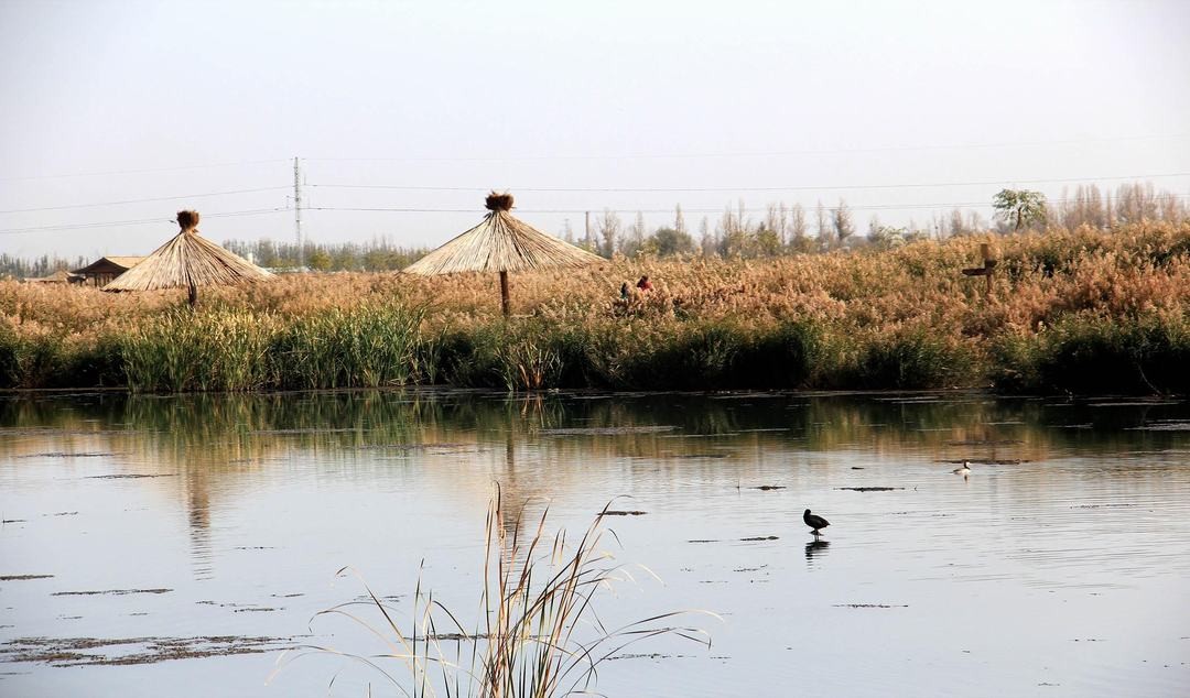 Zhangye National Wetland Park