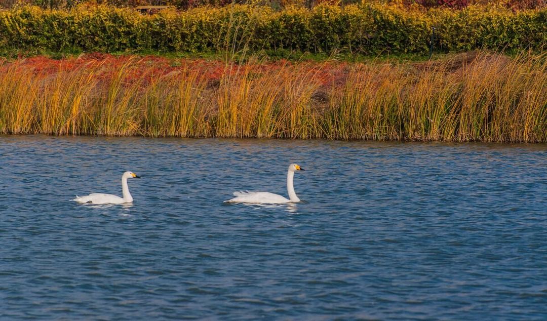 National Wetland Park Zhangye