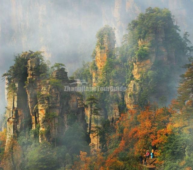 Charming  Zhangjiajie in Four Seasons